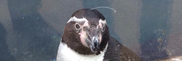 Constancex2's profile banner image