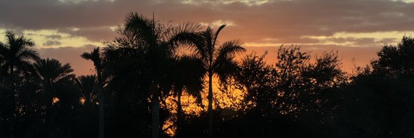 UndeC08 Profile Banner