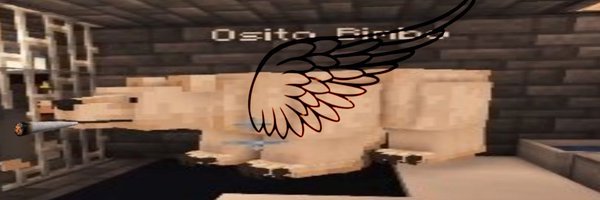Osito_Bimbo Profile Banner
