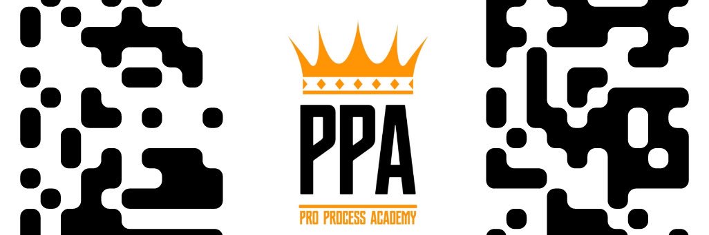 Pro Process Academy banner