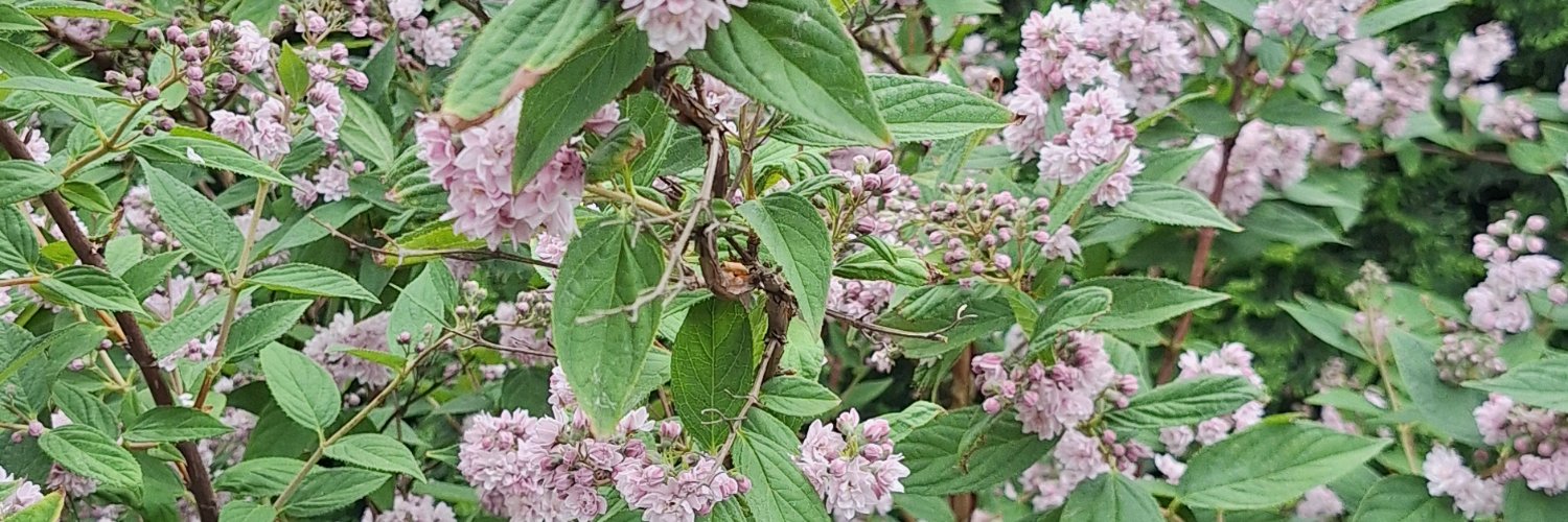 Zbigniew Legutowski banner