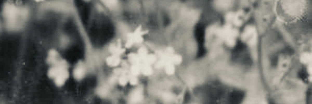 𝑪𝒉𝒆𝒊𝒓. ୨ৎ banner
