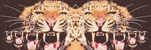 putacertificada banner