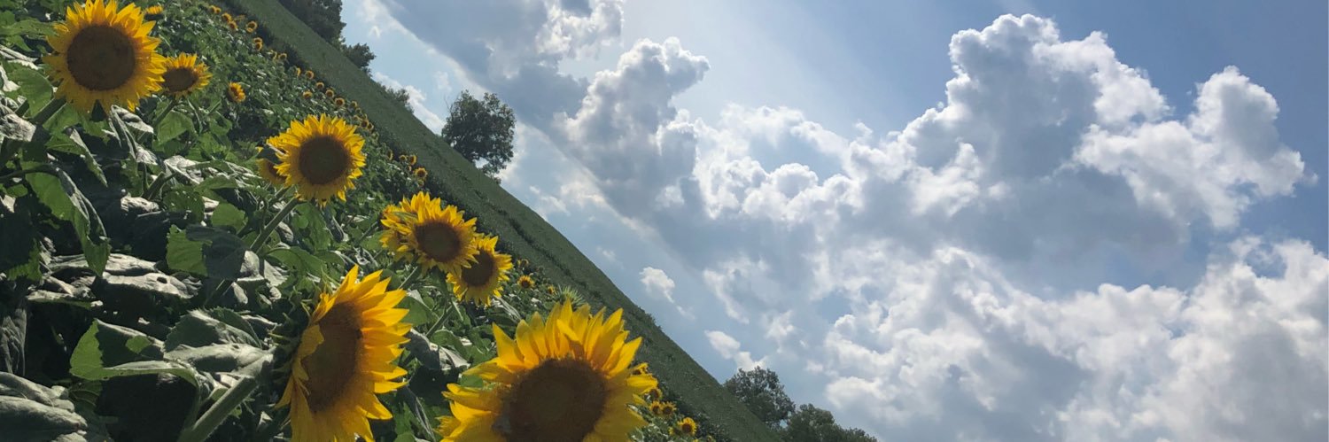 Kallikoko's profile banner image