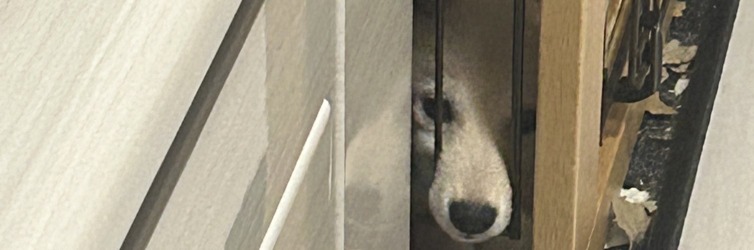 た🐻‍❄️ banner