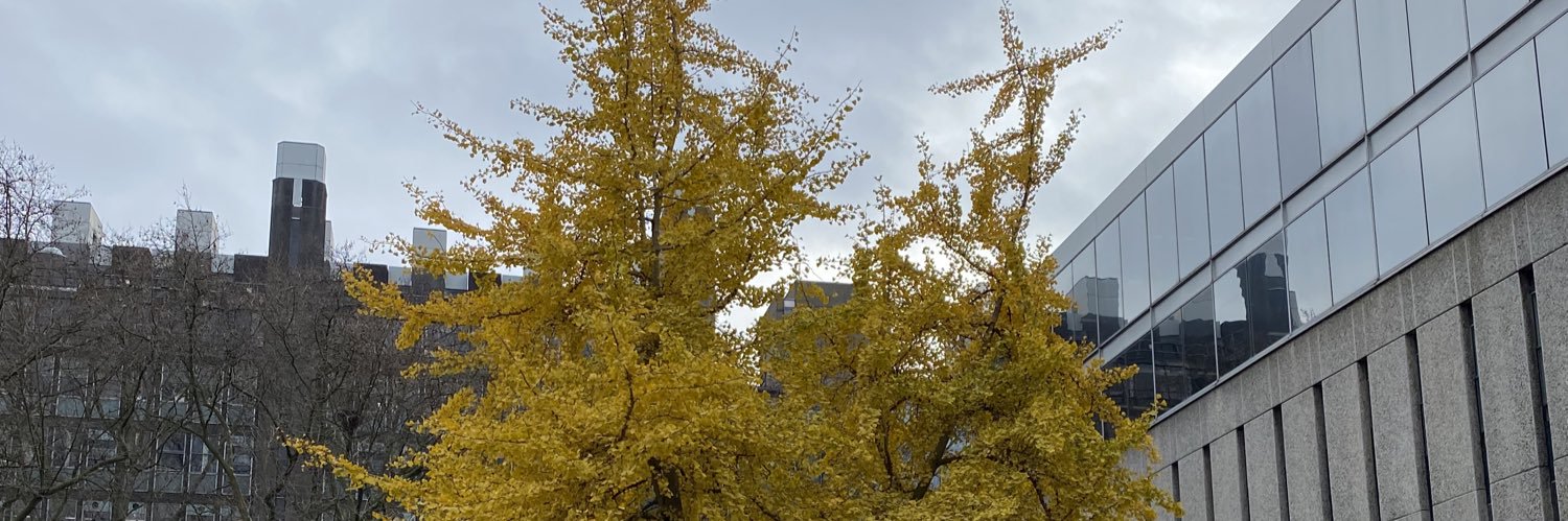 Heather Lincoln banner