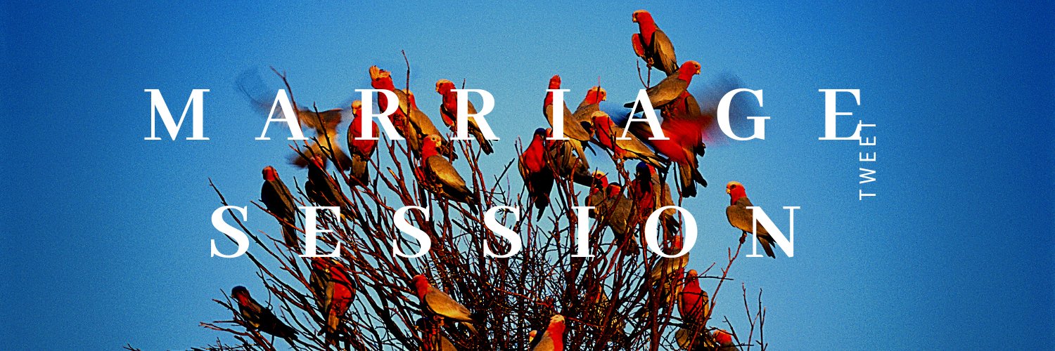 marriagesession's profile banner image
