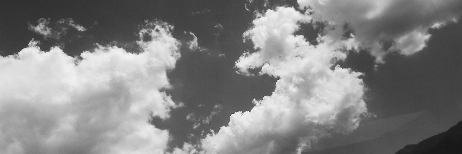 SwennyLewis's profile banner image