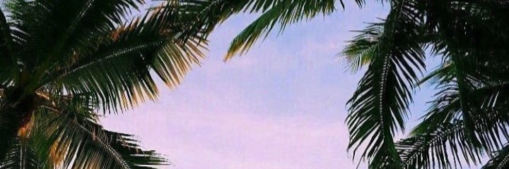 Delfiicampos's profile banner image