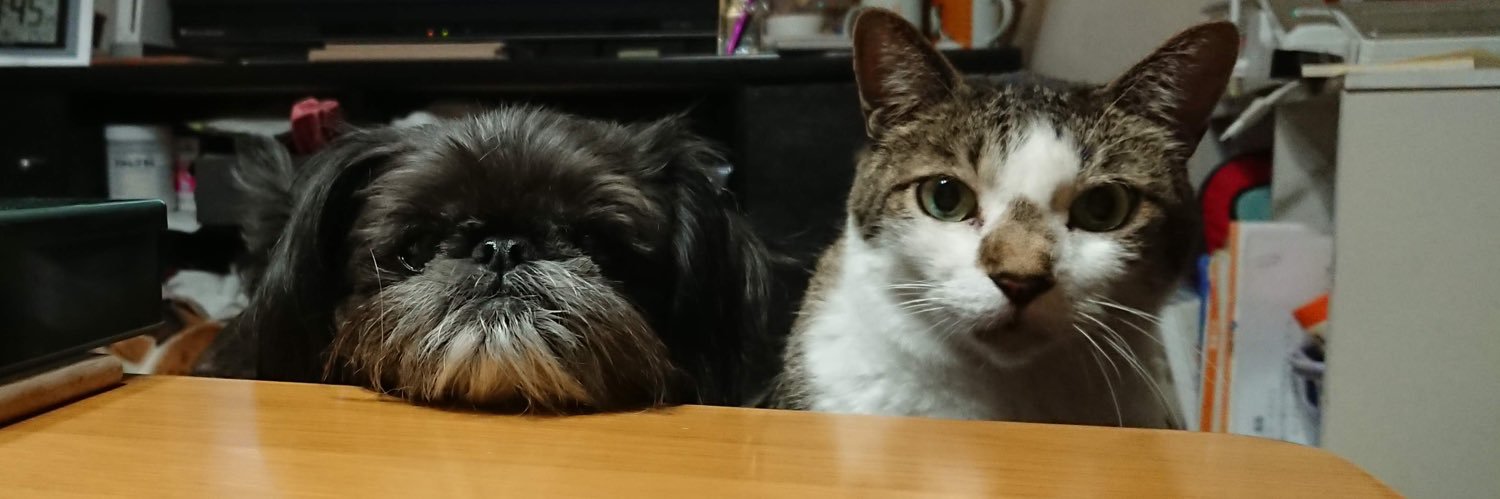 大崎動物病院 の（小） banner