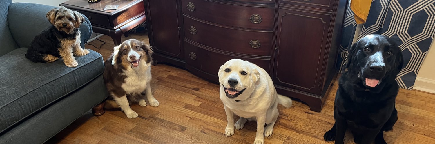 Timothy Manning banner