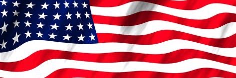 Term Limits Needed banner