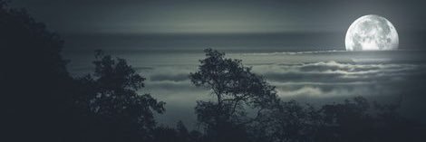 Pab_ib's profile banner image