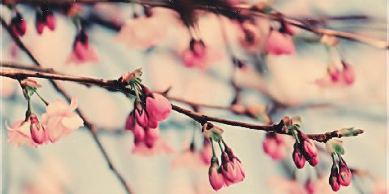 JuBinafif's profile banner image