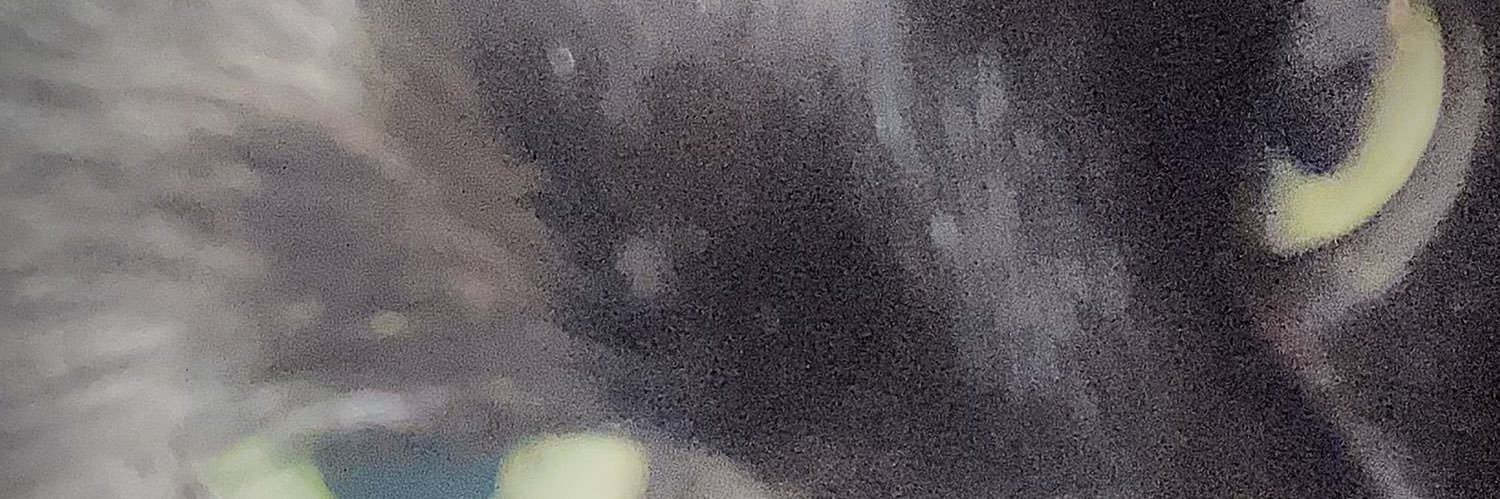 JasperOnTV's profile banner image