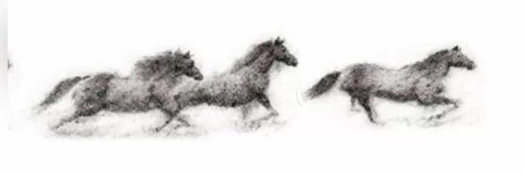 solrimw's profile banner image