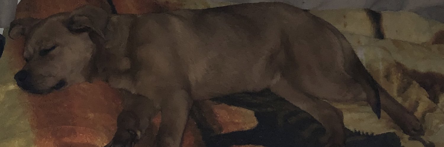 lakaman's profile banner image