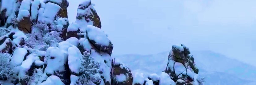 Michael Stage banner