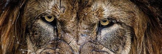 Benj123's profile banner image