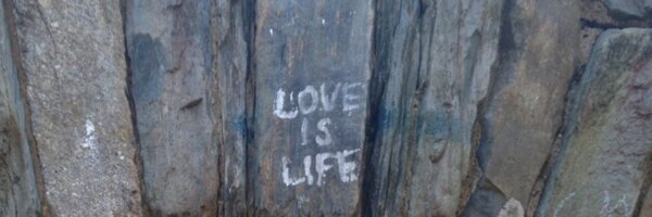 Digucator Profile Banner