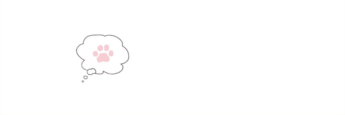 𝖣𝖺𝗆 / CMS Open banner