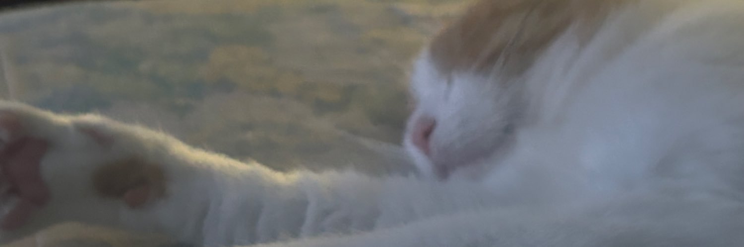 SlVlacK's profile banner image