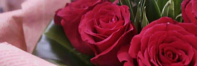 leen_1407's profile banner image