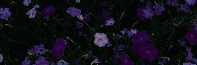 addy 🥀 banner