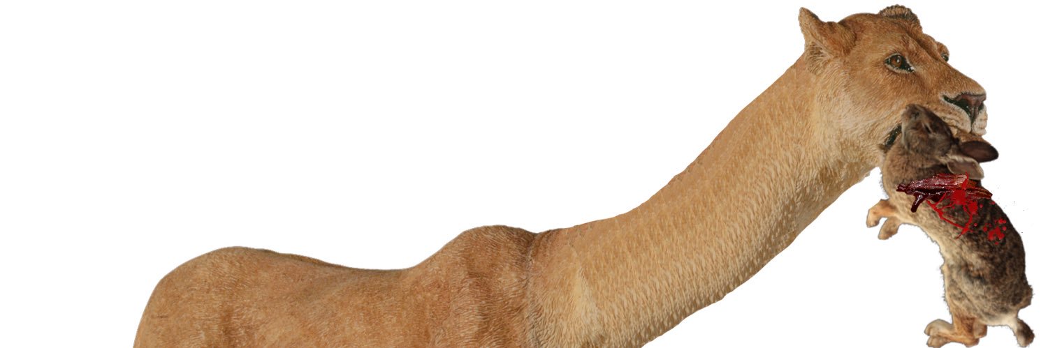 LongNeckLion's profile banner image