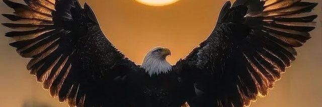 chandan_1753's profile banner image