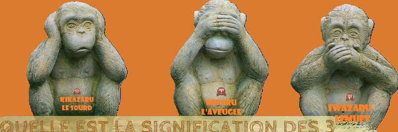 virtuelfeeling banner