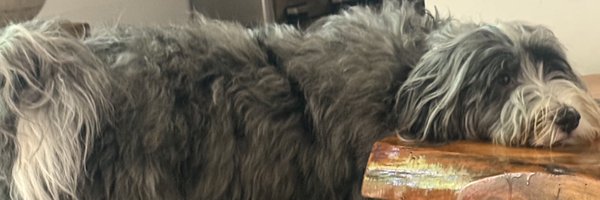 wgrathwohl Profile Banner