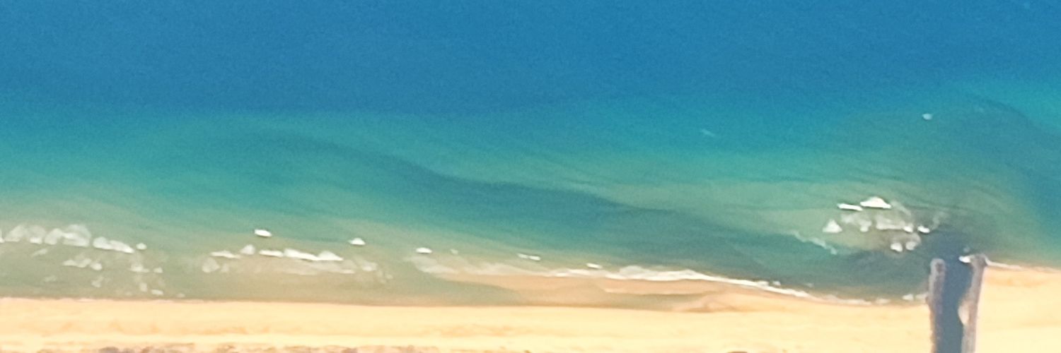 Sally23 banner