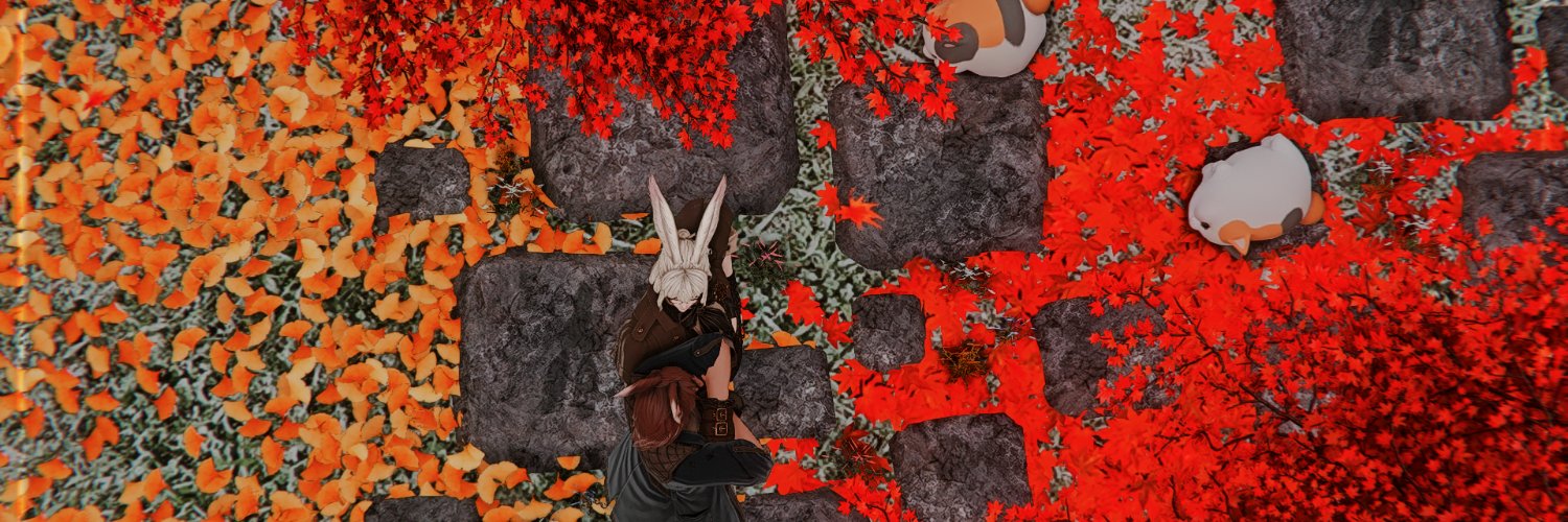 Noel_L_FF14's profile banner image