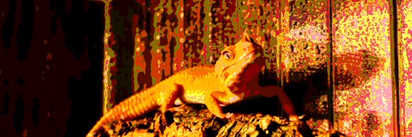 _xi_212_ Profile Banner