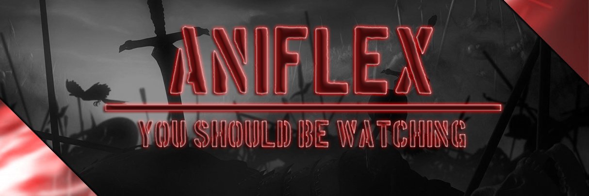 Aniflex banner