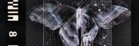 vixlainz's profile banner image