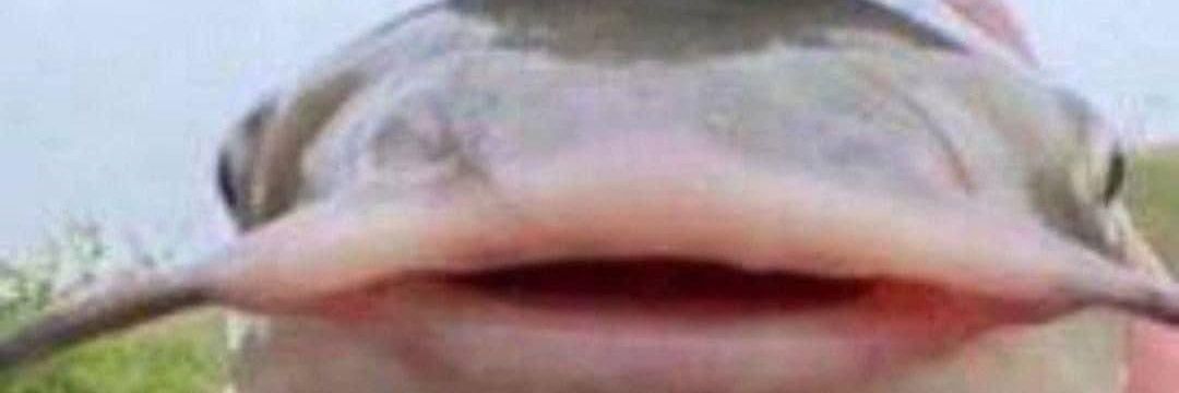 caioeloi5's profile banner image
