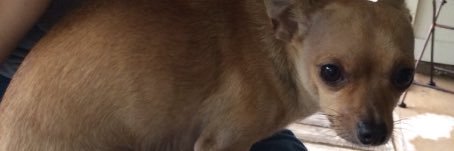 NSelas's profile banner image