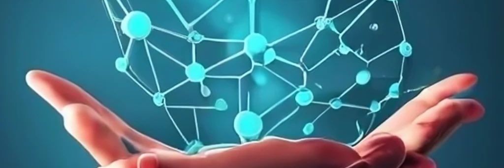 Stem Network banner