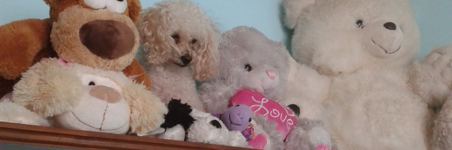 roxanafig's profile banner image
