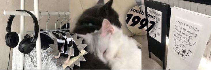 Camis ★ antonio's gf banner