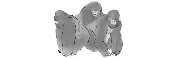 M__DD10478 Profile Banner