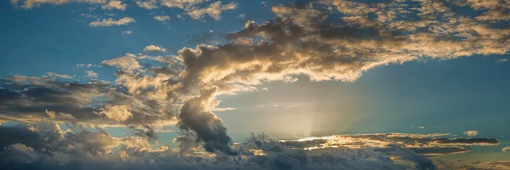 Elephant Foot banner