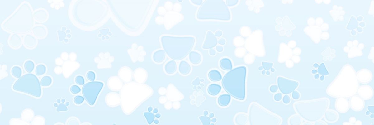 saryu banner