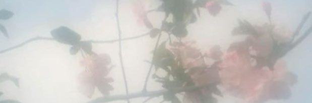 typppp banner