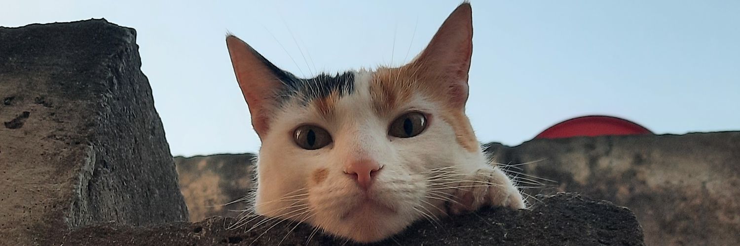 Nidia_Paredes96's profile banner image