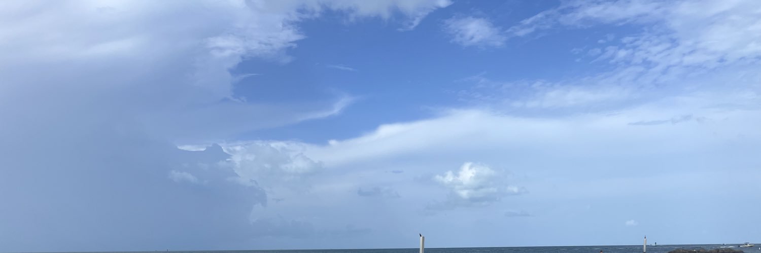 lusamedusa's profile banner image