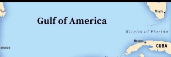 Toothprof22 Profile Banner