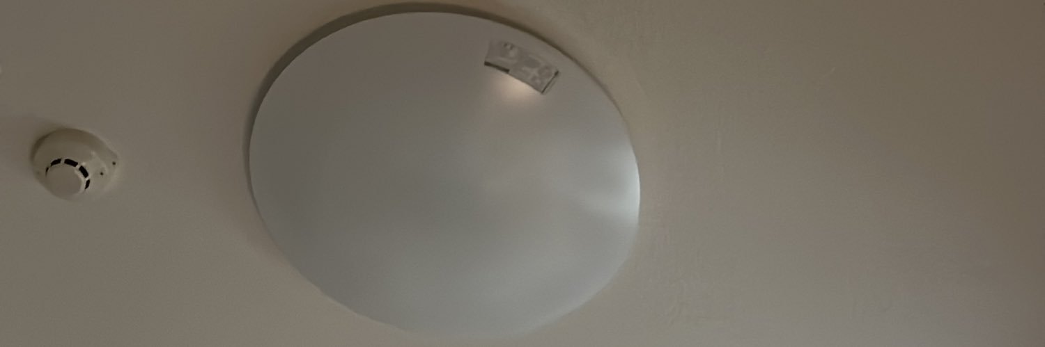 天丼ちゃん🍤 banner